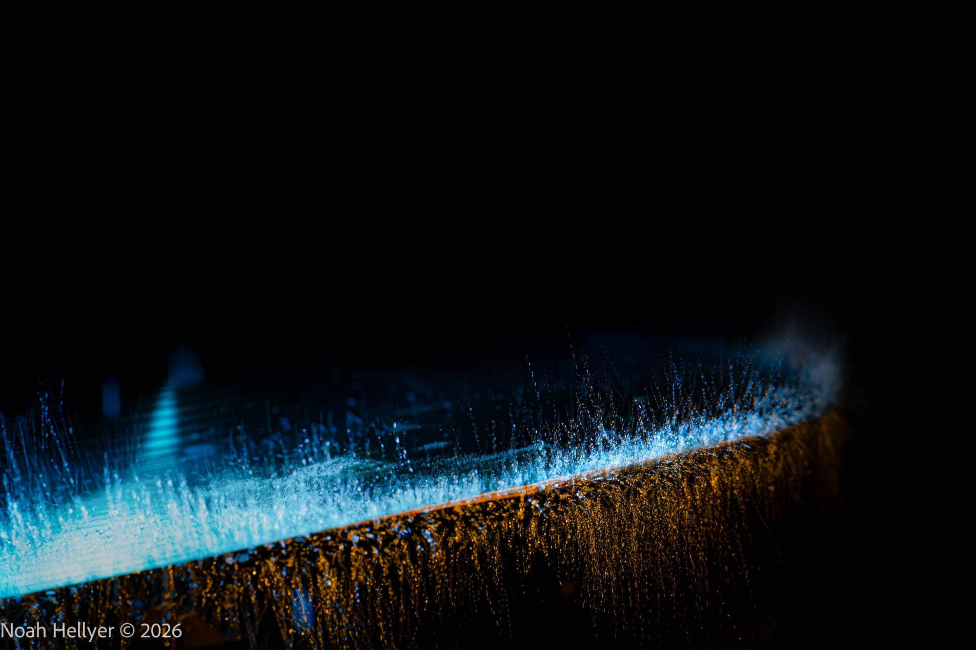 Icy Shield